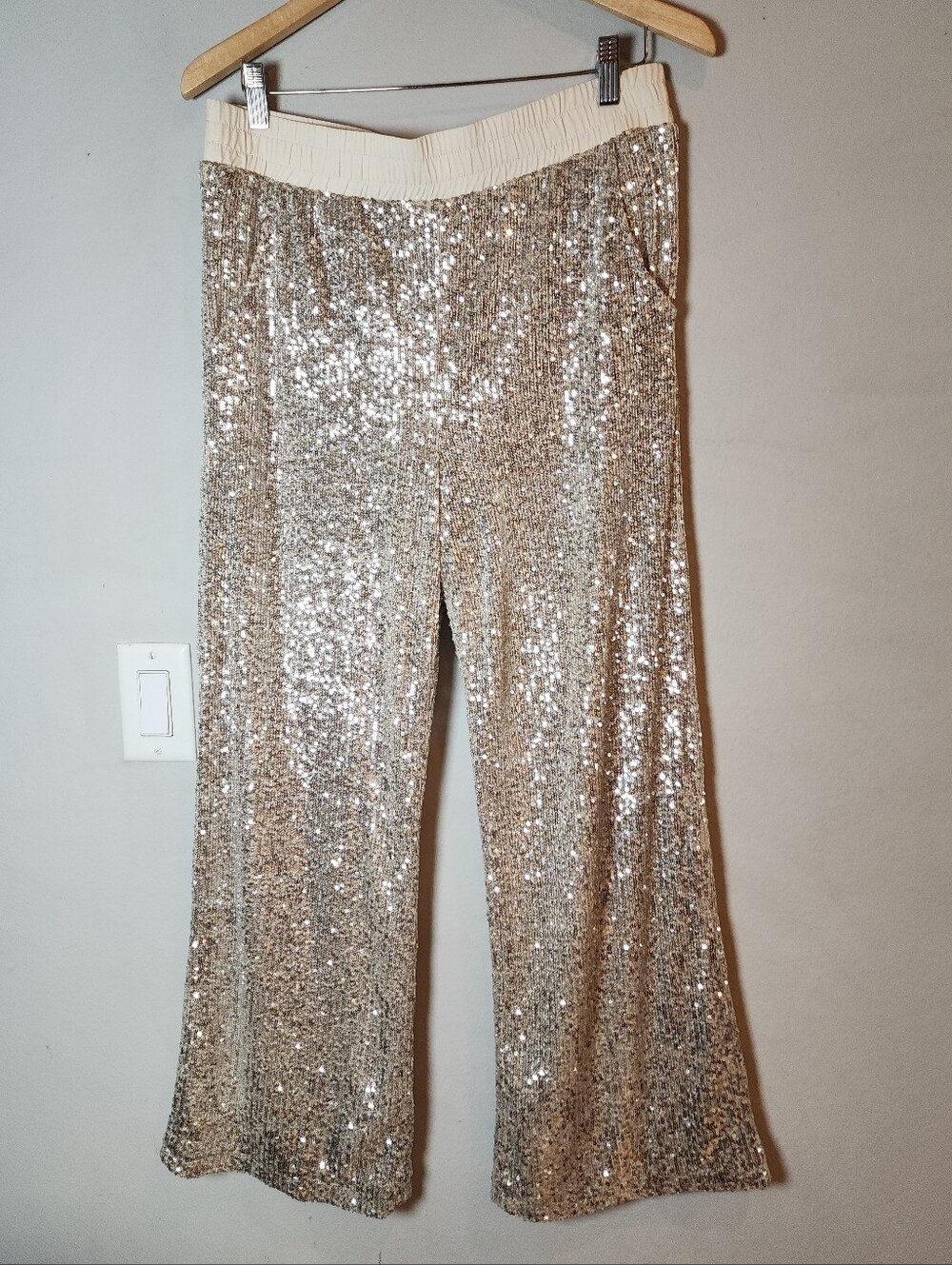 Boston Proper Pull On Silver Sequin Pants Nude Mesh And Lined Side Pockets Sz M